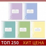 Тетрадь 12 листов в косую линию Calligrata «Пятёрка», обложка мелованный картон, ВД-лак, блок офсет, белизна 95%, МИКС