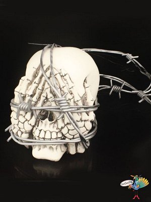 колючая Проволока, 2,4 м. силикон