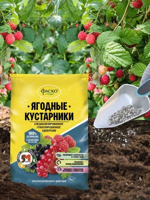 Удобрение минеральное 5М для Ягодных кустарников гранулированное сухое 1 кг ФАСКО