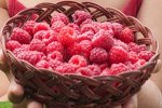 Малина ремонтантная Геракл