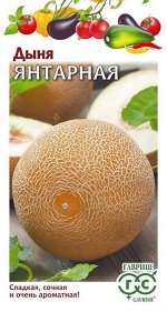 Дыня Янтарная (Код: 91943)