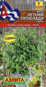 Мята Летняя прохлада (Код: 91996)