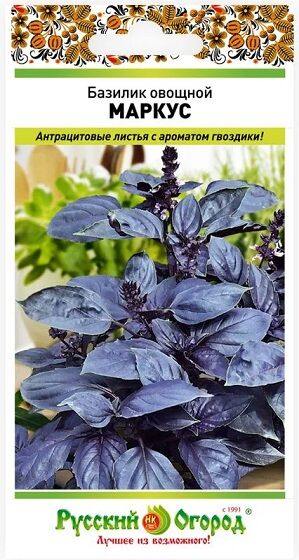 Базилик Маркус (Код: 91957)