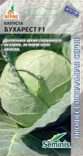Капуста б/к Бухарест F1 ЭКОНОМ (Код: 92093)
