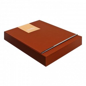 Органайзер на кольцах А6+, 80 листов, кожзам, c хлястиком, линия, с ручкой, в подарочной коробке, коричневый
