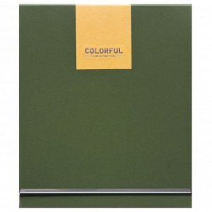Органайзер на кольцах А6+, 80 листов, кожзам, c хлястиком, линия, с ручкой, в подарочной коробке, зеленый