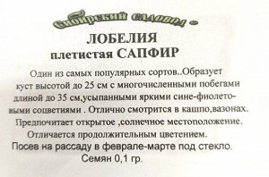 Лобелия Сапфир плетистая ч/б (Код: 91962)