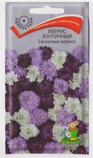 Иберис Ежевичные меренги (Код: 66868)