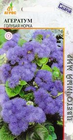 Агератум Голубая норка (Код: 72426)