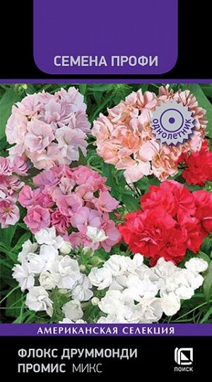 Флокс Промис Микс (Код: 91544)
