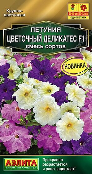 Петуния Цветочный деликатес (Код: 91808)