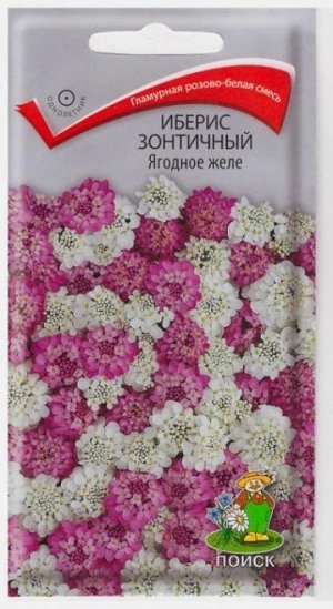 Иберис Ягодное желе (Код: 66874)