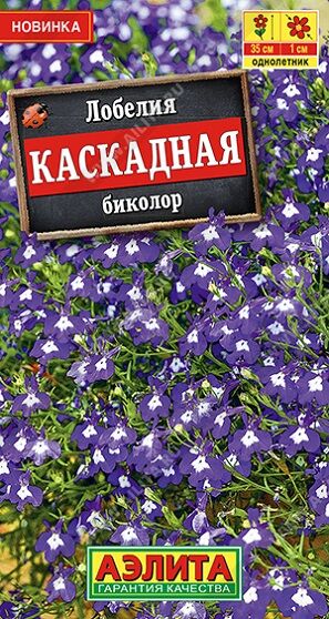 Лобелия Каскадная Биколор (Код: 91779)