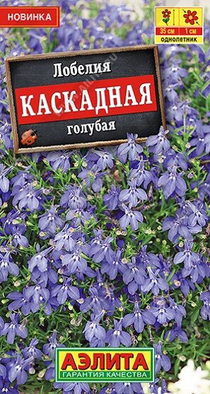 Лобелия Каскадная Голубая (Код: 91780)