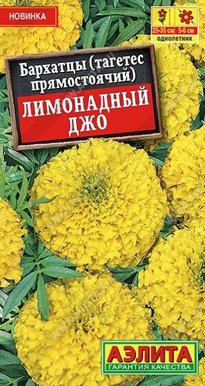 Бархатцы Лимонадный Джо (Код: 91753)