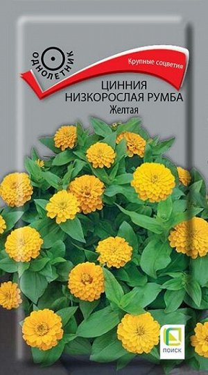 Цинния Румба Желтая низкорослая (Код: 91545)