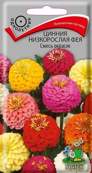 Цинния Фея смесь окрасок низкорослая (Код: 91549)