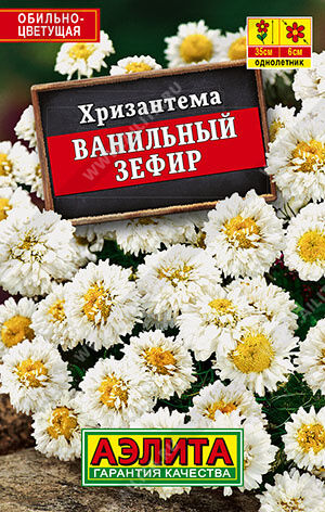 Хризантема Ванильный зефир (лидер) (Код: 91932)