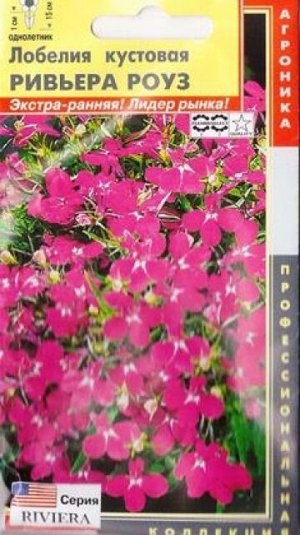 Лобелия Ривьера Роуз (Код: 83338)
