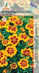 Бархатцы Мариэтта (Код: 66826)