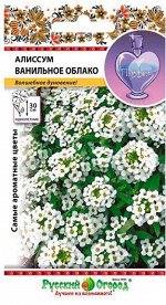 Алиссум Ванильное облако (Код: 8720)