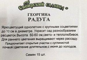 Георгина Радуга ч/б (Код: 11654)