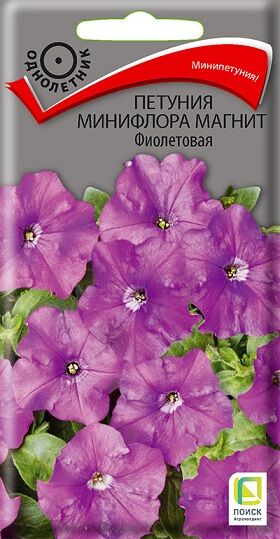 Петуния Магнит Фиолетовая (Код: 92106)