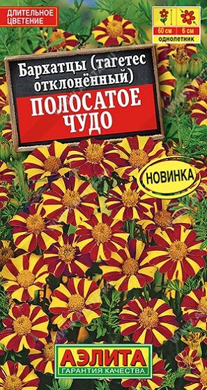 Бархатцы Полосатое чудо (Код: 91754)