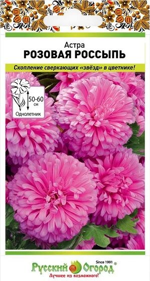Астра Розовая россыпь (Код: 92025)