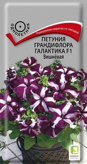 Петуния Галактика F1 Вишневая (Код: 68230)