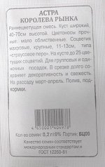 Астра Королева рынка ч/б (Код: 91242)