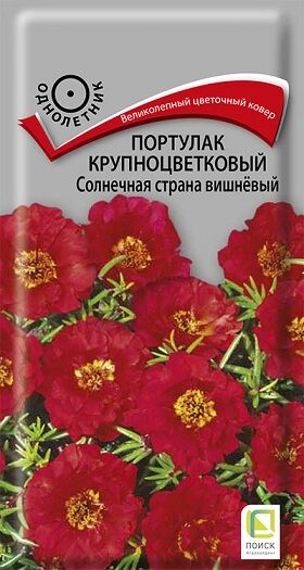 Портулак Солнечная страна Вишневый (Код: 5718)