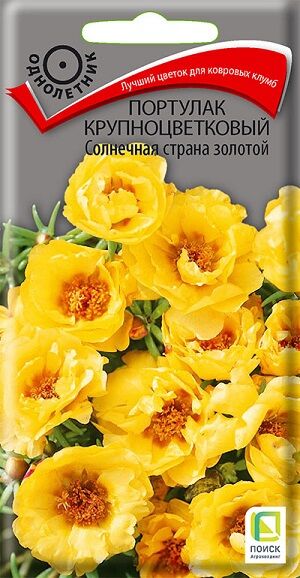 Портулак Солнечная страна Золотой (Код: 65987)