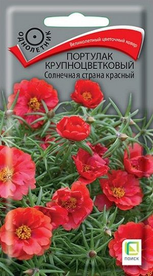 Портулак Солнечная страна Красный (Код: 91986)