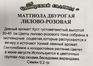 Маттиола двурогая Лилов-Розовая ч/б (Код: 91926)