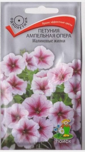 Петуния Опера Малиновые жилки (Код: 67300)