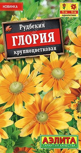 Рудбекия Глория (Код: 91811)