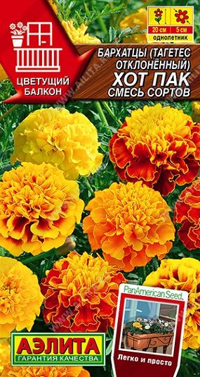 Бархатцы Хот пак (смесь) (Код: 90984)