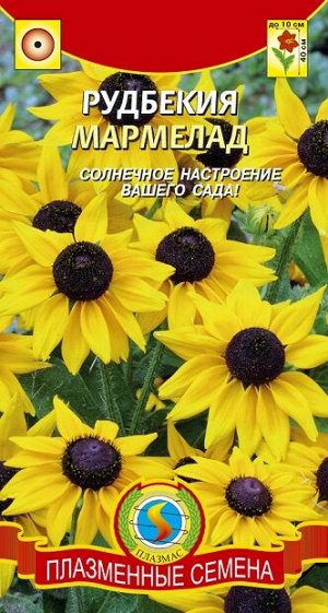 Рудбекия Мармелад (Код: 91579)