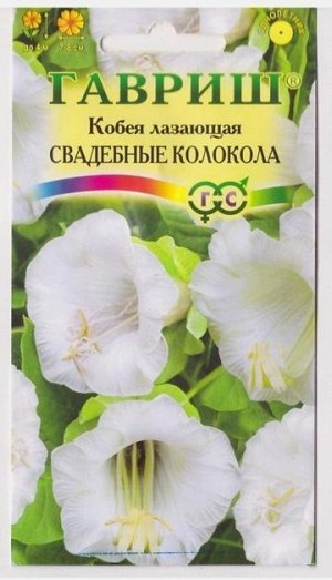 Кобея Лазающая Свадебные колокола (Код: 13132)