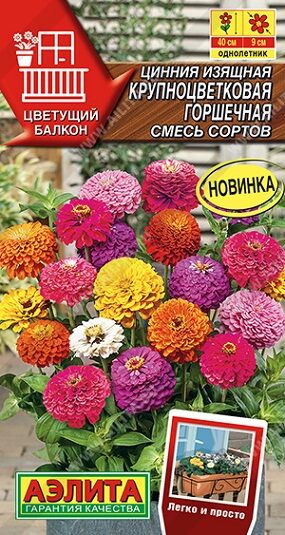 Цинния Крупноцветковая Горшечная (Код: 91040)