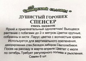 Душистый горошек Спенсер ч/б (Код: 91927)
