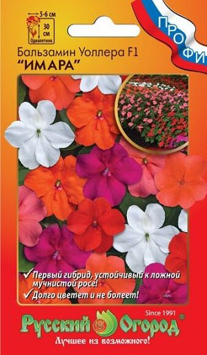 Бальзамин Уоллера Имара F1 (Код: 91595)