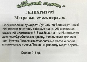 Гелихризум Махровый смесь окрасок ч/б (Код: 91955)