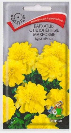 Бархатцы Аура желтая (Код: 67652)