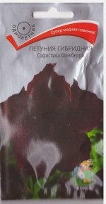 Петуния Софистика Блекбери (Код: 72338)