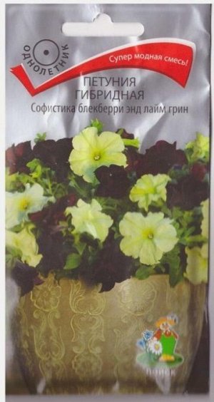 Петуния Софистика Блекбери энд Лайм Грин (Код: 72339)