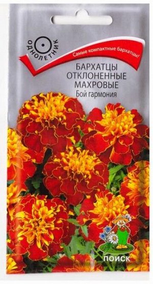 Бархатцы Бой Гармония (Код: 78677)