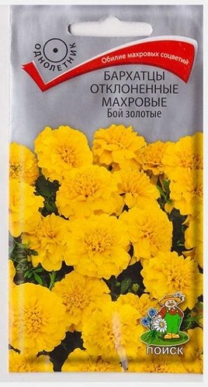 Бархатцы Бой Золотоые (Код: 73443)