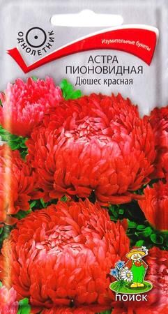 Астра Дюшес красная (Код: 84342)